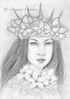 Butterfly Queen